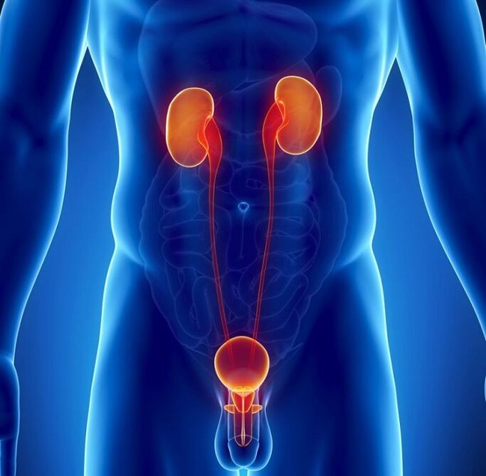 koje kronične bolesti mogu utjecati na mušku potenciju